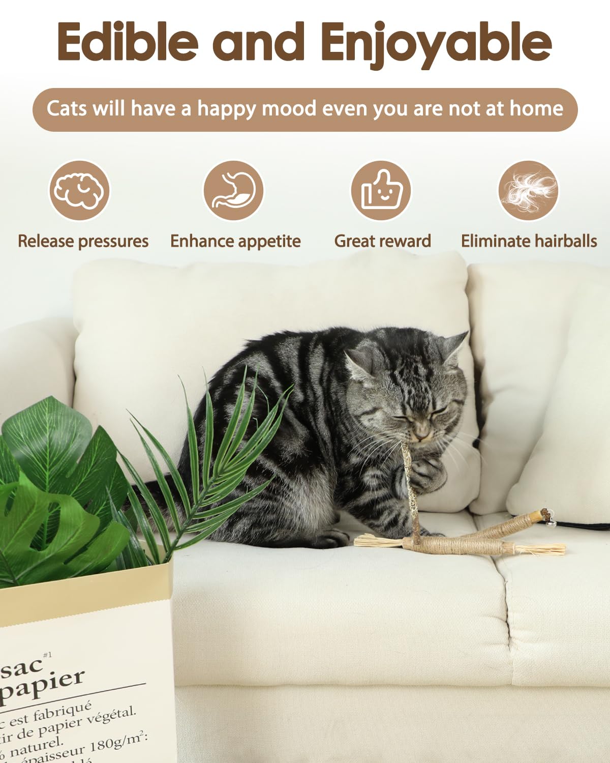 Tocirelo Silvervine Sticks Cat Toys - 6Pack Natural Cat Chew Toy Teeth Cleaning, Matatabi Dental Care Kitten Treat, Catnip Cat T